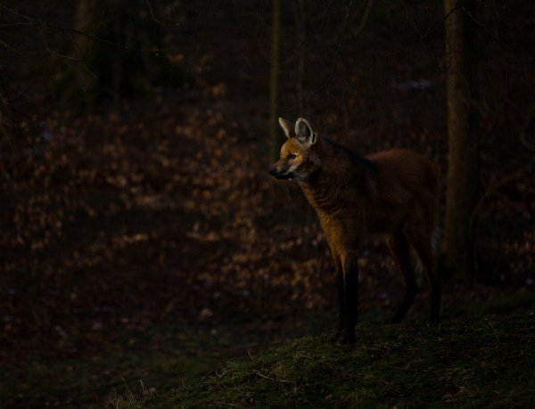 Stefan Larsen-5824_2